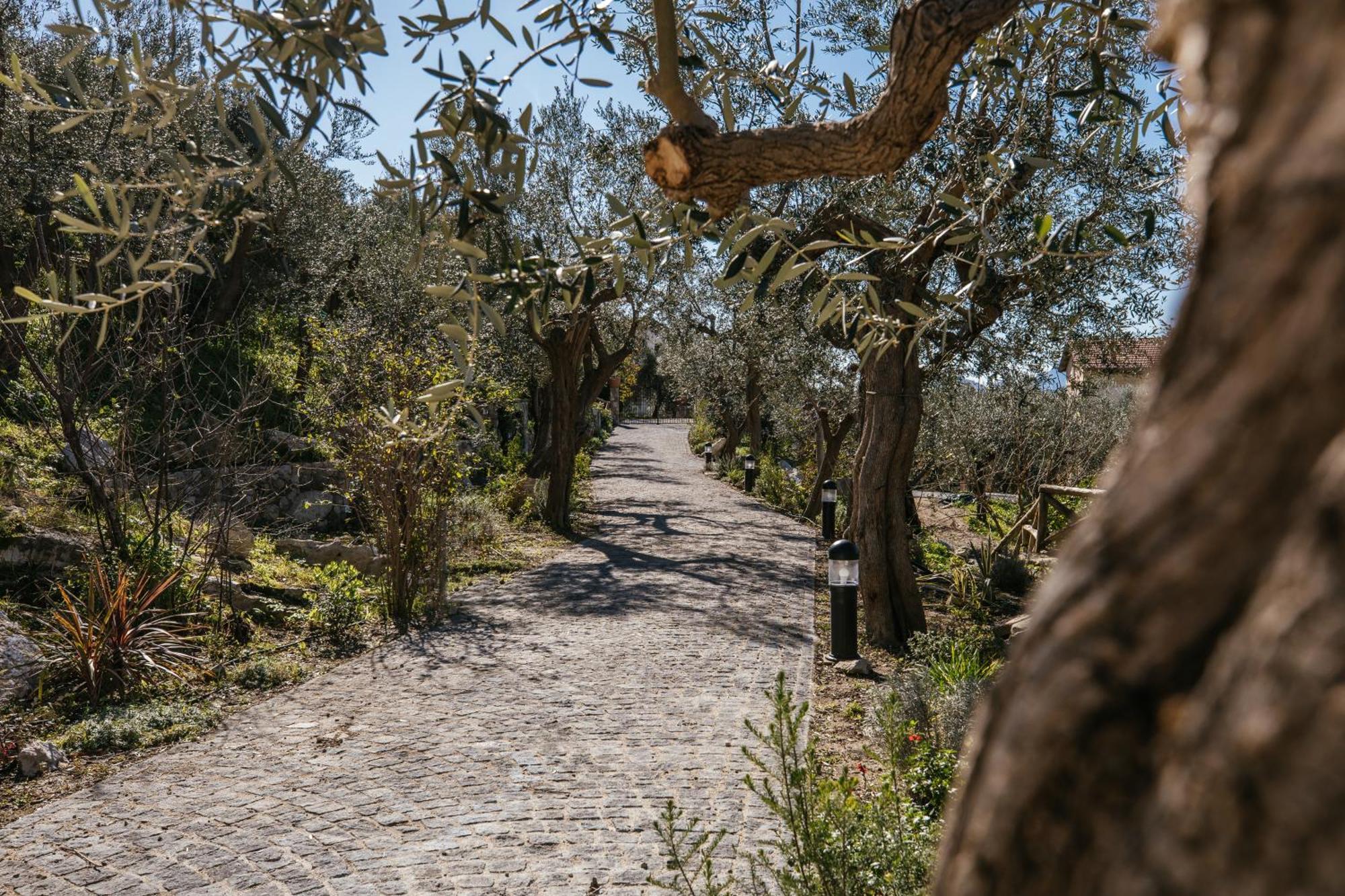 Melrose Relais Massa Lubrense