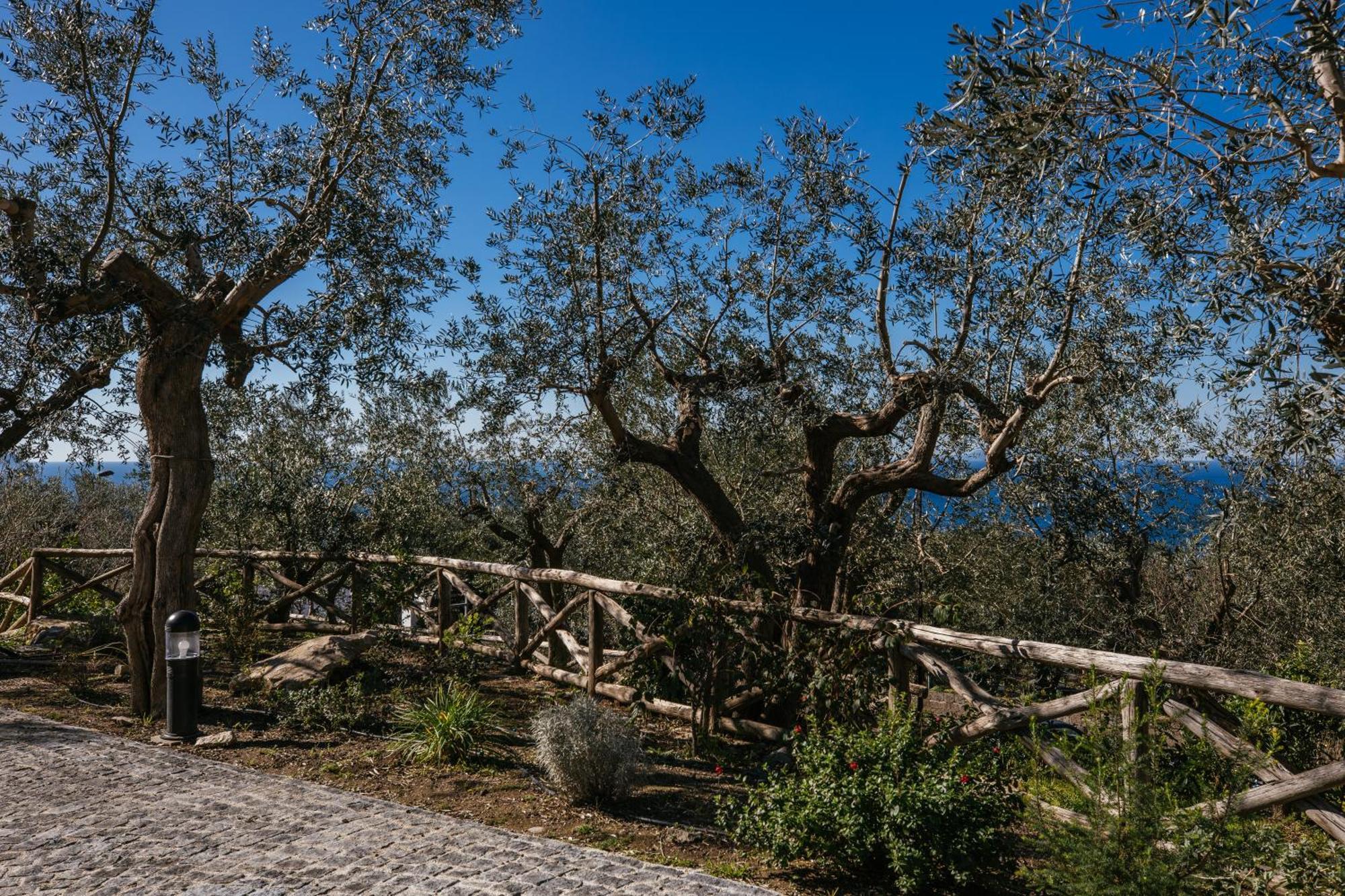 Melrose Relais 2* Massa Lubrense