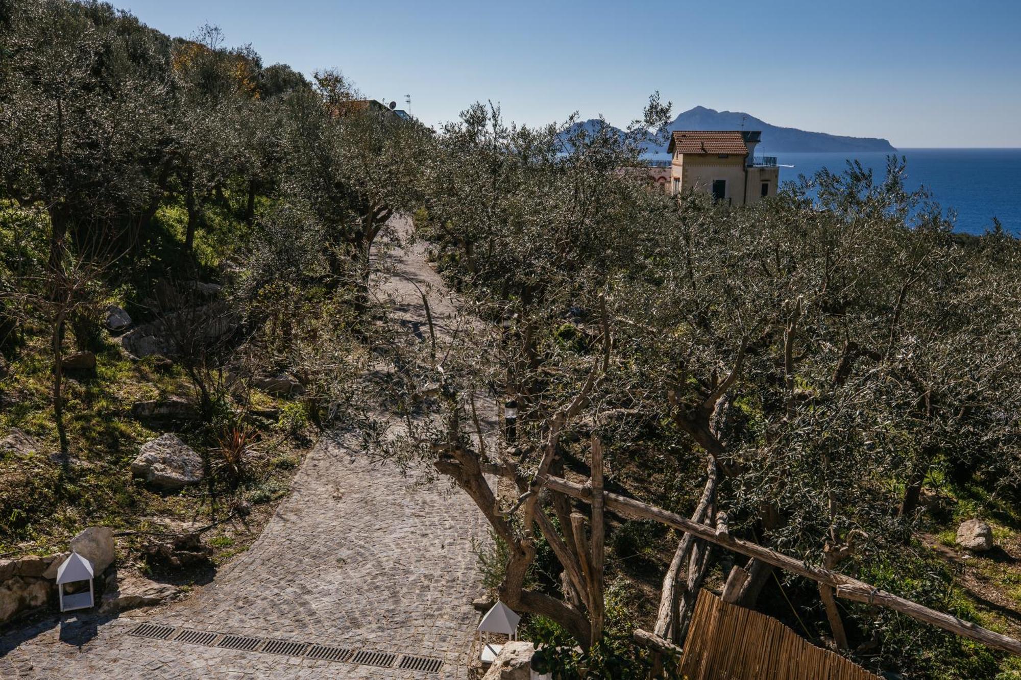 Melrose Relais Gasthof Massa Lubrense